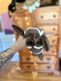 Image 3 of Ribbon Seal Plush