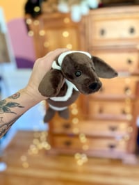 Image 4 of Ribbon Seal Plush