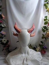 Image 2 of Double Dragon Horns | Rainbow Pink-Purple