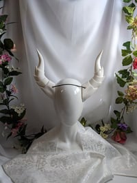 Image 2 of Dragon Horns | White | XXL