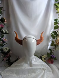 Image 4 of Dragon Horns | Amber | Large