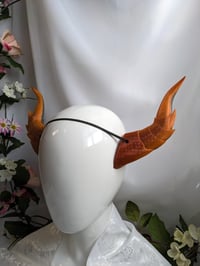 Image 1 of Dragon Horns | Amber | Large