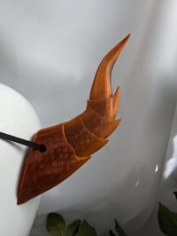 Image 3 of Dragon Horns | Amber | Large