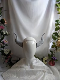 Image 3 of Dragon Horns | Grey | Large