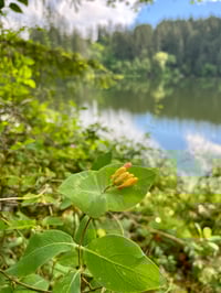 Image 7 of May BYH Breakfast Club