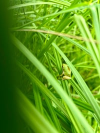 Image 2 of May BYH Breakfast Club