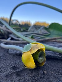 Image 8 of May BYH Breakfast Club