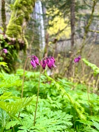 Image 9 of May BYH Breakfast Club