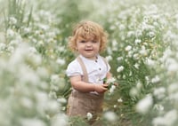 Image 3 of Confetti Fields 2026