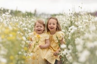 Image 4 of Confetti Fields 2026