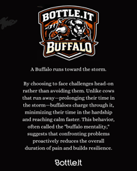 Image 2 of Bottle.It Buffalo Hoody Green