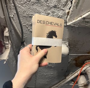 PROD.0007 "Des Chevals" Zine