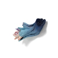 Image 5 of Sugoi Chikkoi Neko (teal) "Hide and Seek"