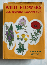 Image 1 of Wild flowers of the wayside and woodland a pocket guide
