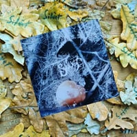 Image 4 of SILÜET - "The Oaks Remember..." - CD/digital