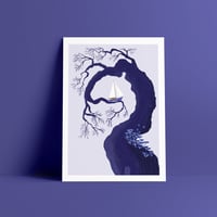 Image 2 of Voilier Suspendu 