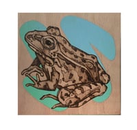 Image 1 of Frog pyro 
