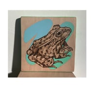 Image 2 of Frog pyro 