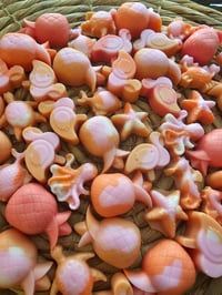 Image 2 of Tropic like it's hot- a Rockytop Wax Works exclusive custom houseblend fragrance 