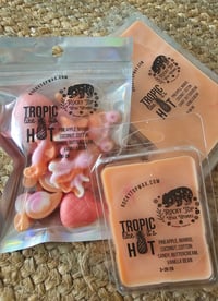 Image 1 of Tropic like it's hot- a Rockytop Wax Works exclusive custom houseblend fragrance 