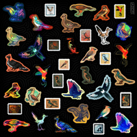Image 2 of Bird Sticker Bundle