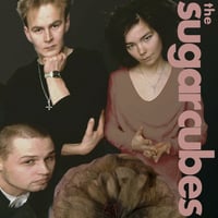 Image 3 of Sugabubes 