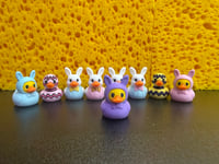 Image 1 of Mini Duckies!