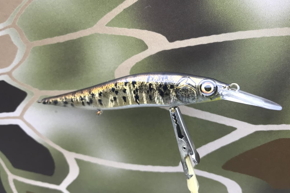 Custom Airbrushed Jerkbait TA 110+JR 6643 - Image 2