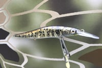 Image 2 of Custom Airbrushed Jerkbait TA 110+JR 6643