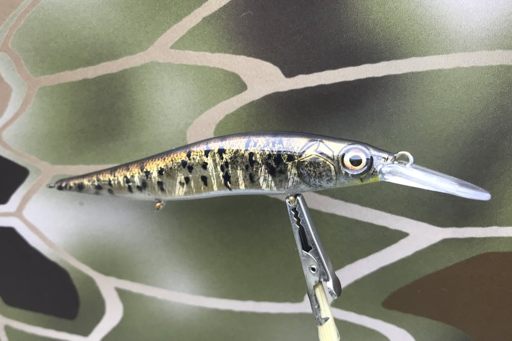 Custom Airbrushed Jerkbait TA 110+JR 6643 - Image 5