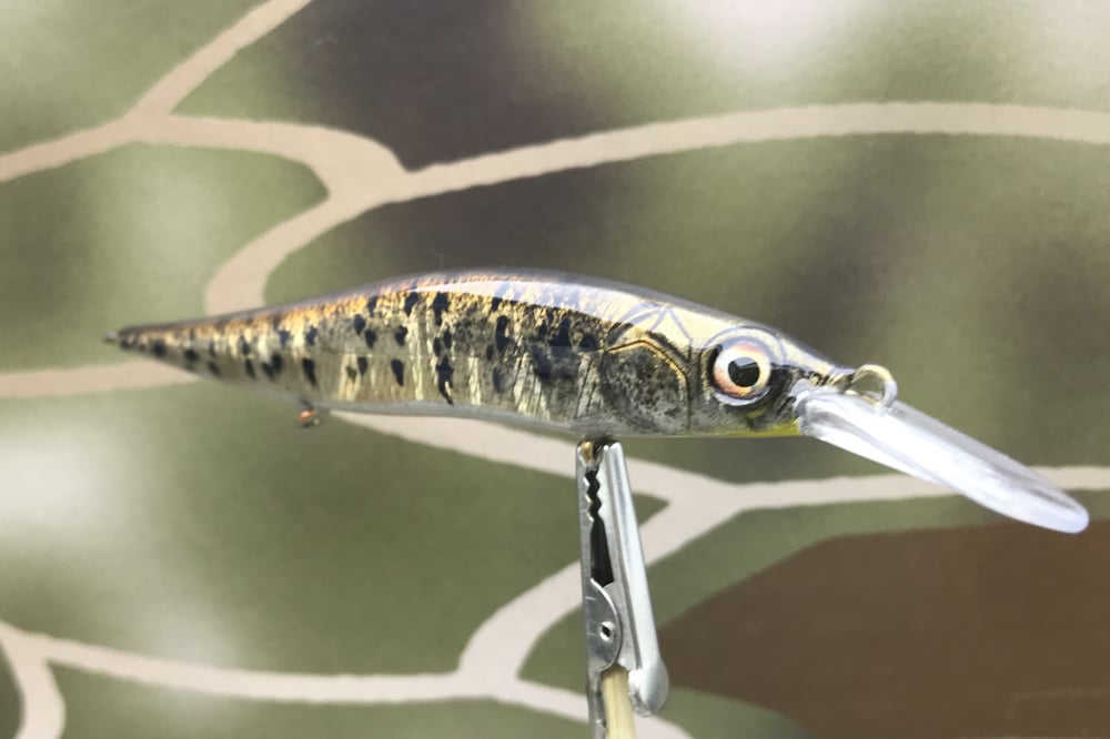 Custom Airbrushed Jerkbait TA 110+JR 6643 - Image 6