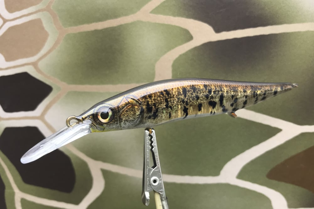 Custom Airbrushed Jerkbait TA 110+JR 6643