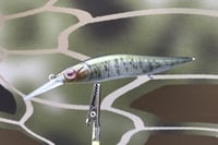 Image 1 of Custom Airbrushed Jerkbait TA 110+JR 6805