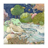 Common Sandpiper - Giclee Print