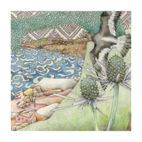 Oystercatcher -  Giclee Print