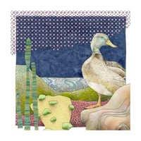 Mallard - Giclee Print
