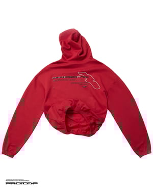Image of PROTOTYP - Acceleration ECU Hoodie (Vermillion)