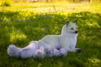 Image 2 of Kitsune life-sized poseable art doll [Preorder]