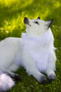 Image 7 of Kitsune life-sized poseable art doll [Preorder]