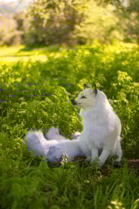 Image 10 of Kitsune life-sized poseable art doll [Preorder]