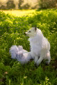 Image 1 of Kitsune life-sized poseable art doll [Preorder]