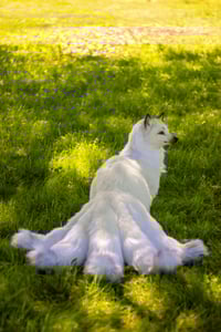 Image 16 of Kitsune life-sized poseable art doll [Preorder]