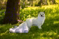 Image 17 of Kitsune life-sized poseable art doll [Preorder]