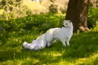 Image 18 of Kitsune life-sized poseable art doll [Preorder]