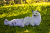 Image 21 of Kitsune life-sized poseable art doll [Preorder]