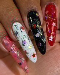 Image 9 of In Full Bloom