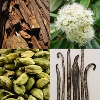 Image 2 of Raaw Alchemy Perfume Oil-BLACKENED SANTAL