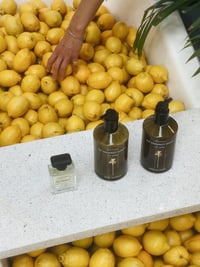 Image 2 of Raaw Alchemy No Vacancy Hand & Body Soap 