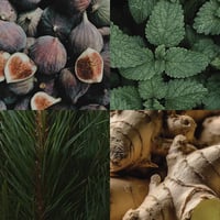 Image 2 of Raaw Alchemy The House Cologne 