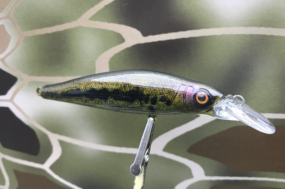 Custom Airbrushed Jerkbait 8974 - Image 2